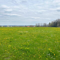 23-04-30 15-25-46 5253